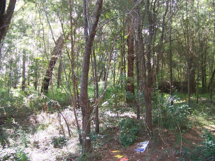 31 Dempsey Street, Russell Island QLD 4184, Russell Island - Thumbnail 3
