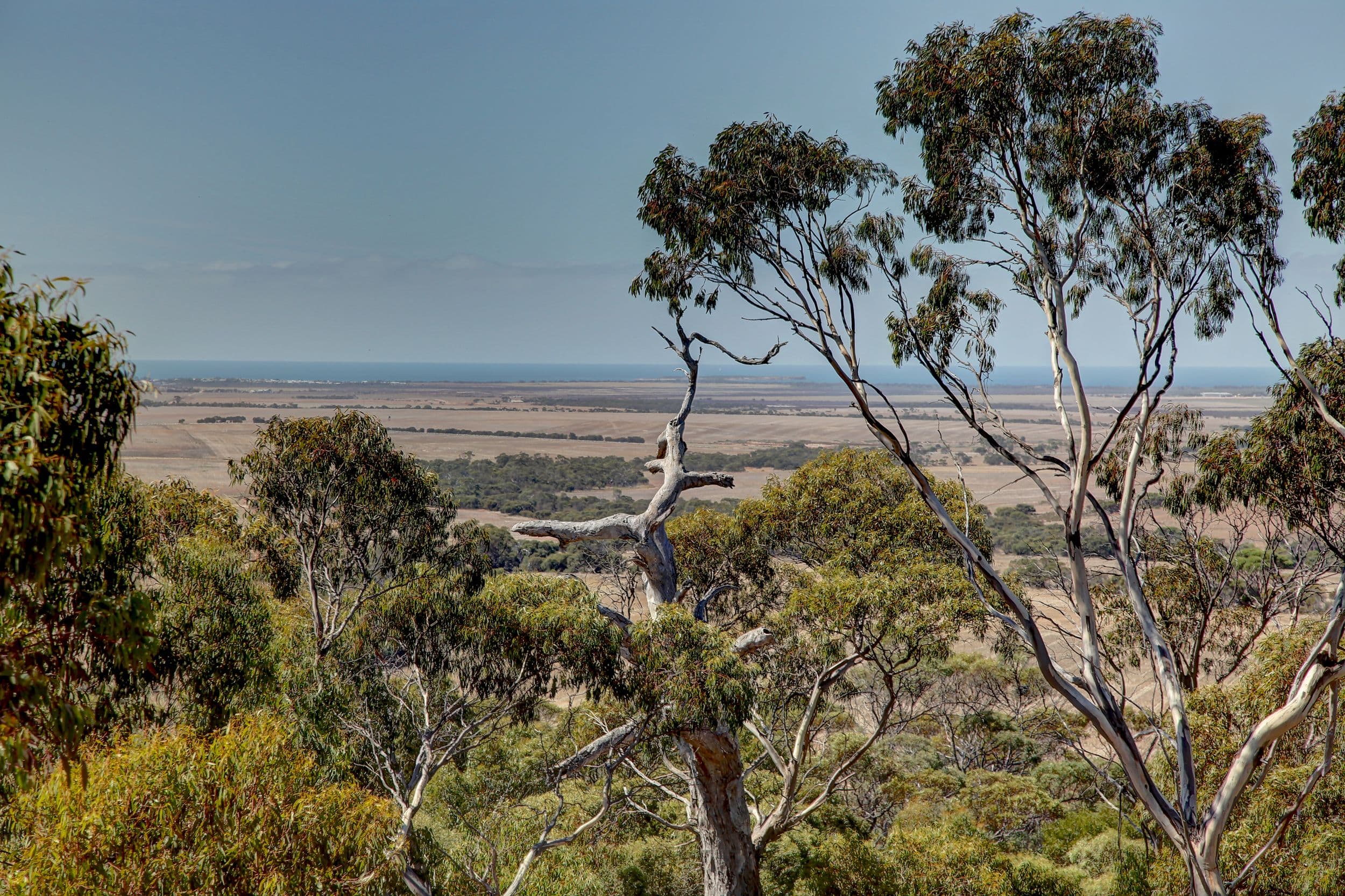 214 Foothills Road, Tumby Bay SA 5605, Tumby Bay - Thumbnail 5