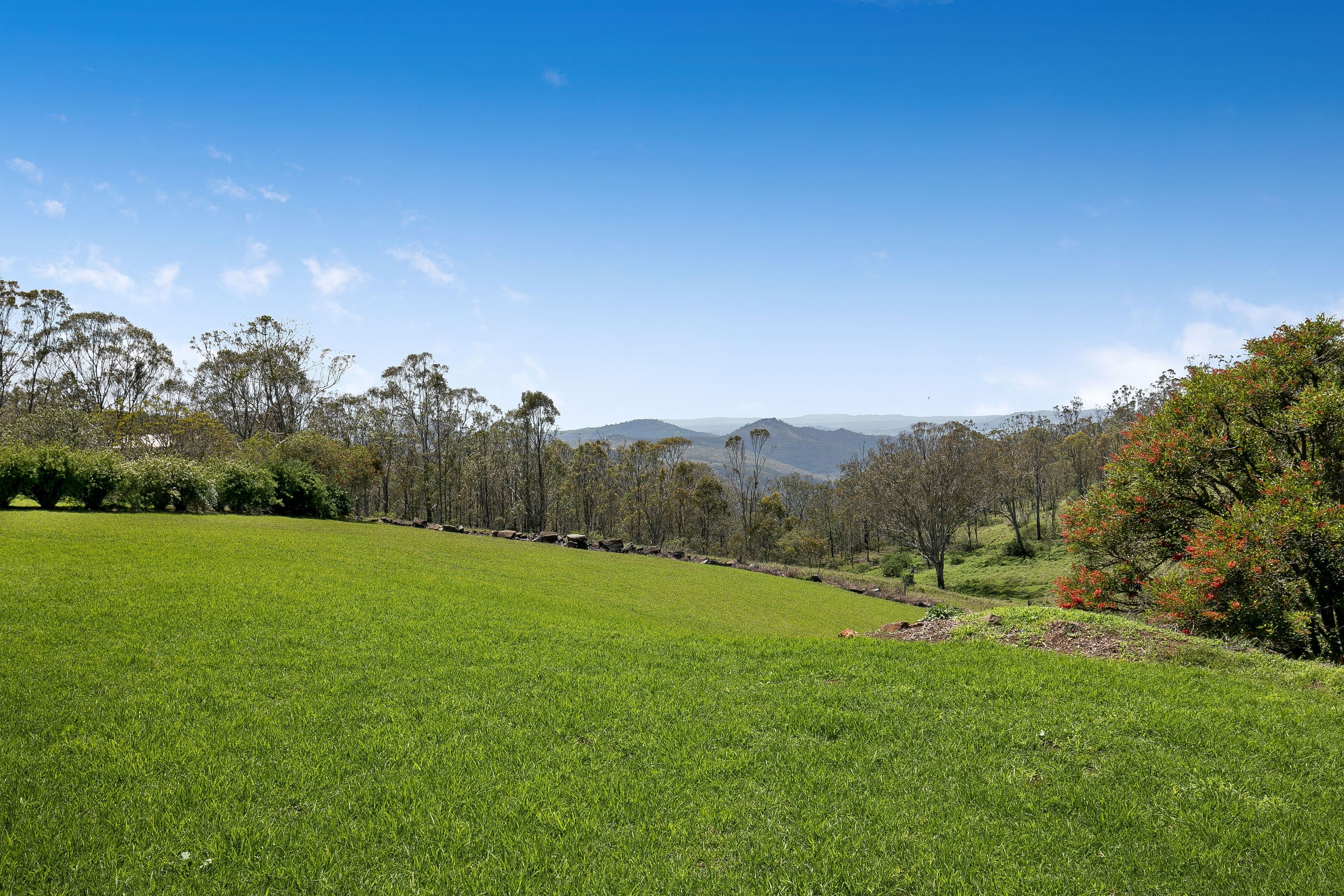 14 McStay Street, Middle Ridge QLD 4350, Middle Ridge - Thumbnail 2