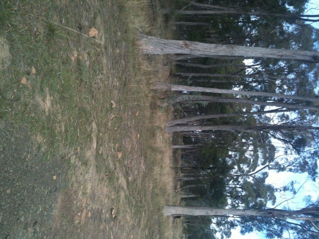 237 Bridgenorth Road, LEGANA TAS 7277, Legana - Thumbnail 2