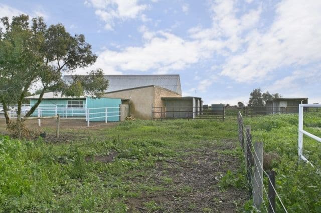 208 Aerodrome Road, MALLALA SA 5502, Mallala - Thumbnail 2