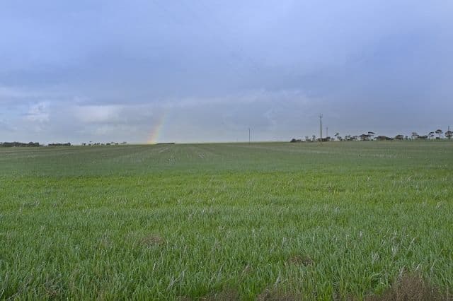 208 Aerodrome Road, MALLALA SA 5502, Mallala - Thumbnail 5