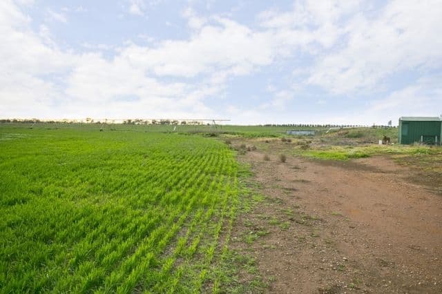 208 Aerodrome Road, MALLALA SA 5502, Mallala - Thumbnail 7