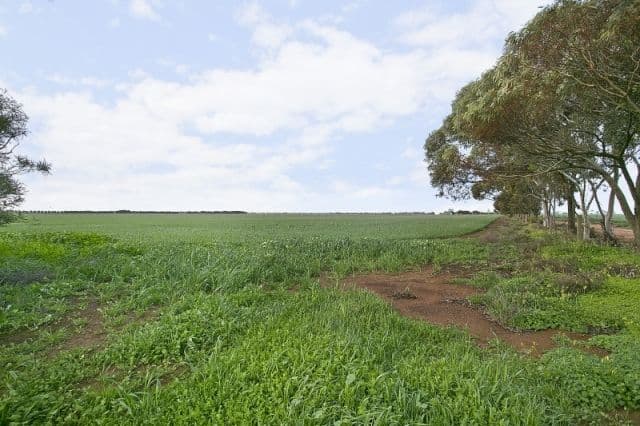 208 Aerodrome Road, MALLALA SA 5502, Mallala - Thumbnail 8