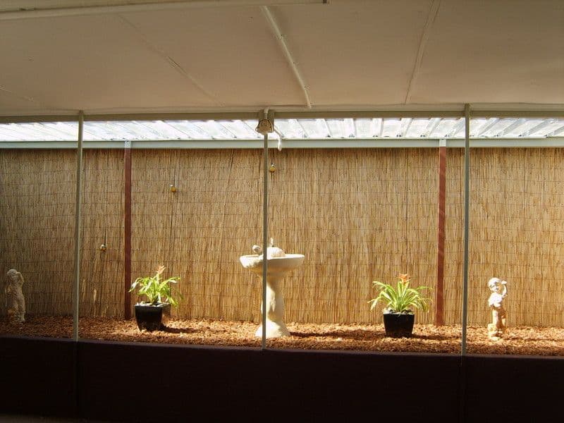 4 Rhine Cresc, BEECHBORO WA 6063, Beechboro - Thumbnail 7