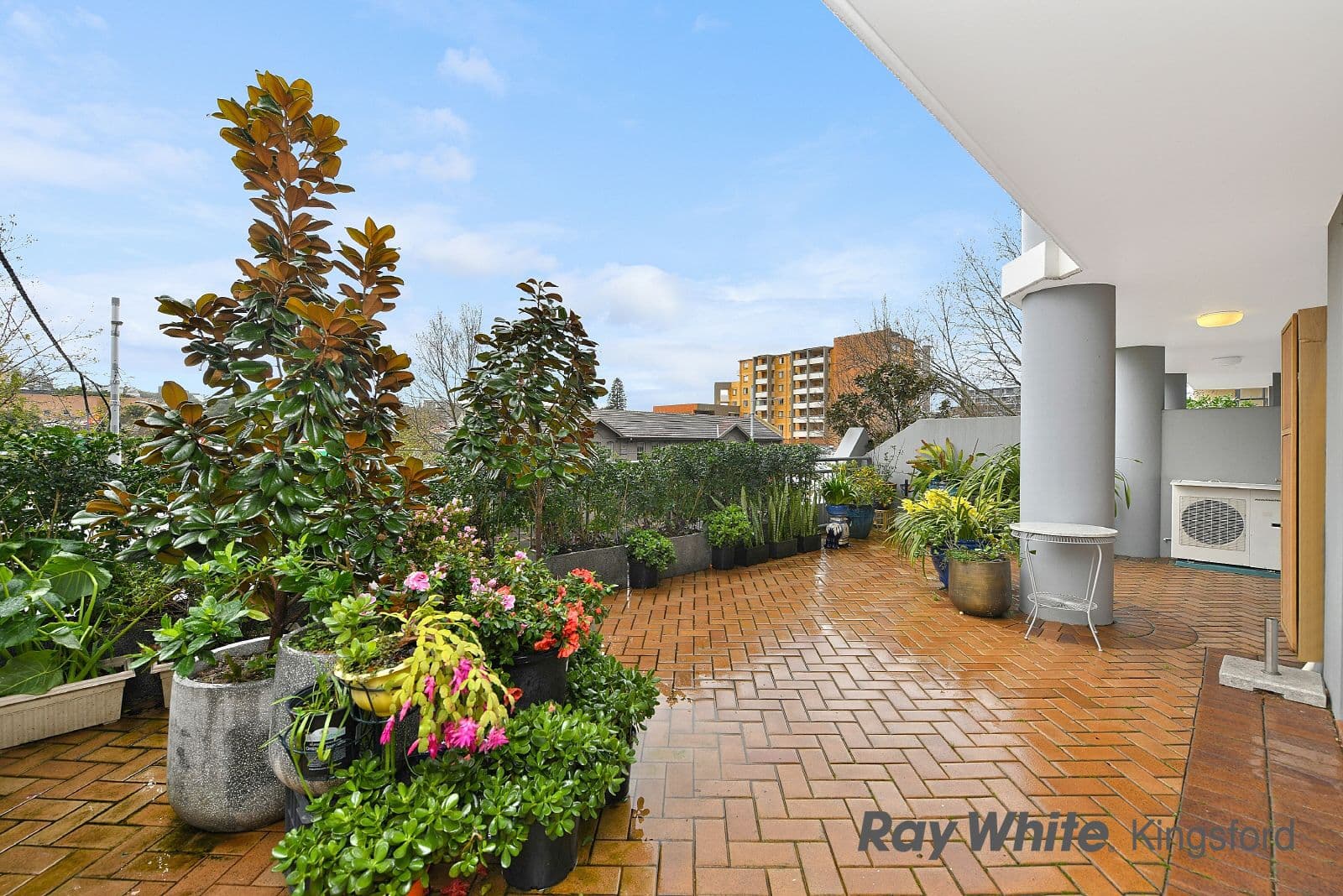 243-253 Anzac Parade, Kingsford NSW 2032, Kingsford - Thumbnail 5
