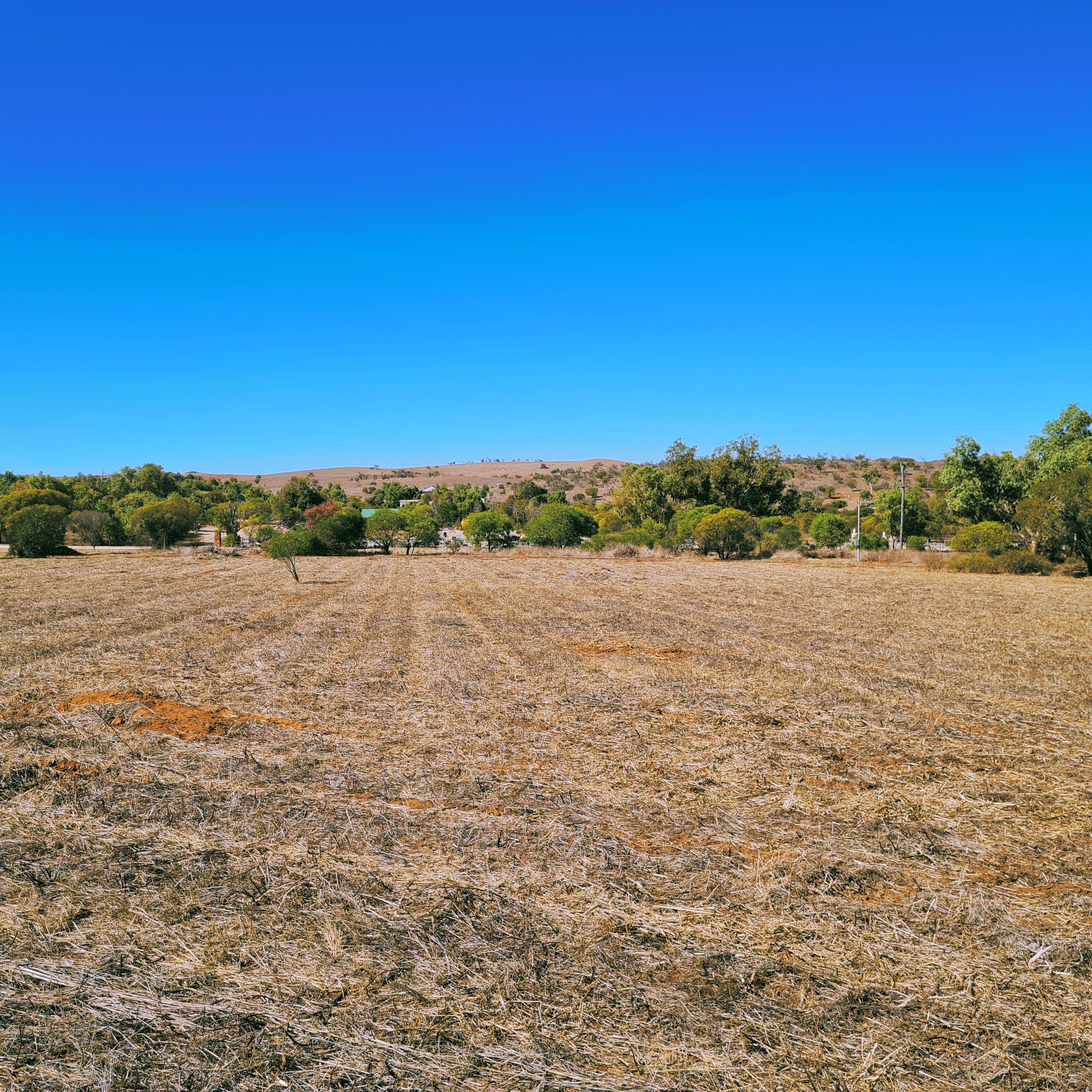 14 Onslow Street, Northampton WA 6535, Northampton - Thumbnail 4