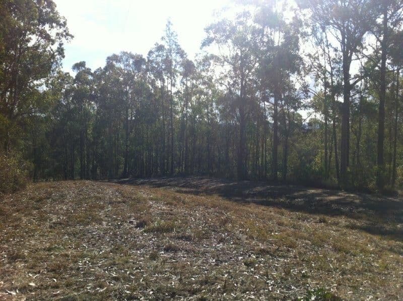 4 Irkanda Drive, TAREE NSW 2430, Taree - Thumbnail 3