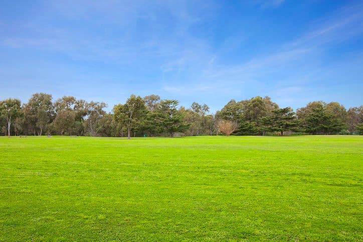 155 Beverley Road, ROSANNA VIC 3084, Rosanna - Thumbnail 5