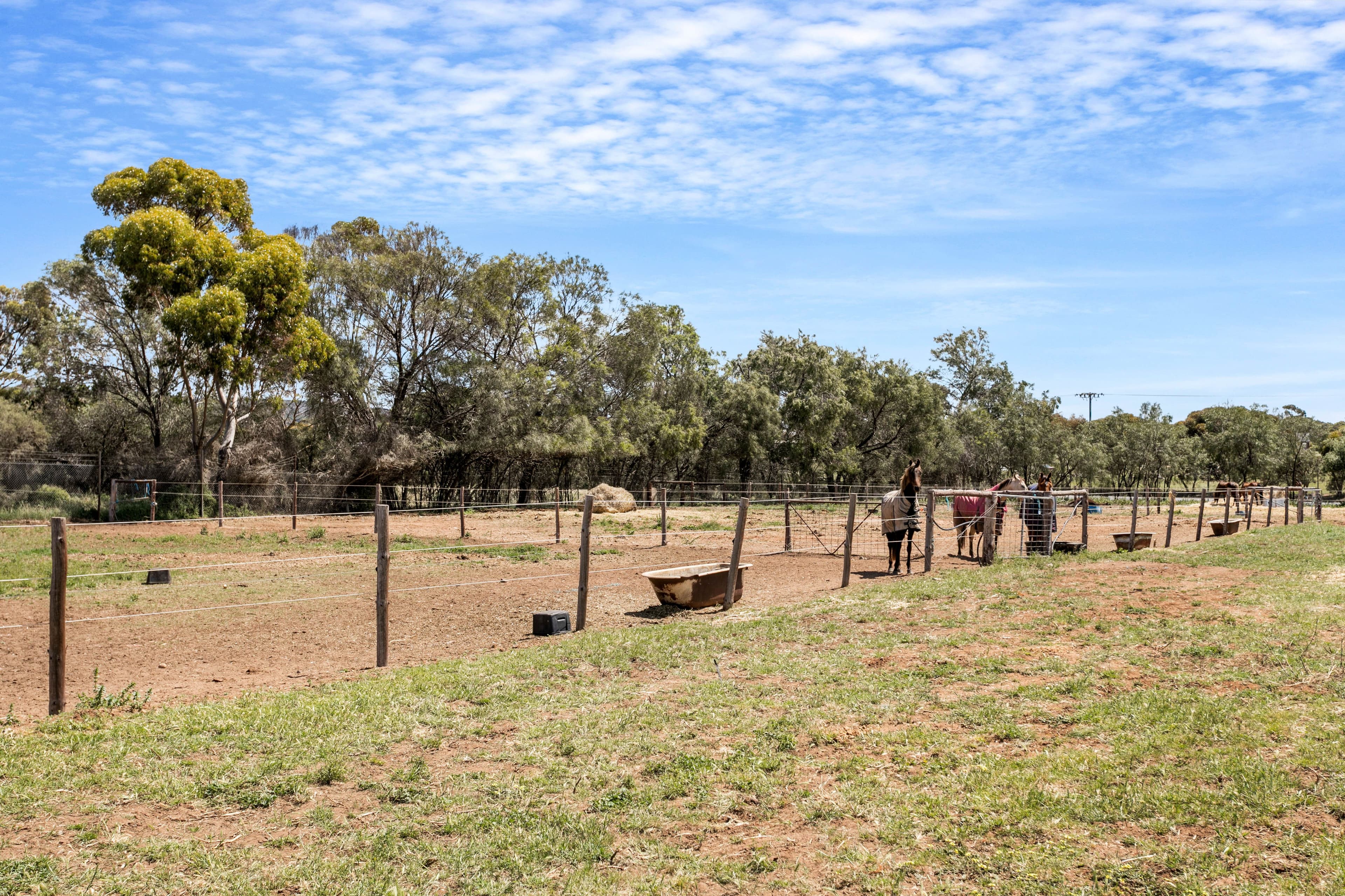 53 Old Swanport Road, Murray Bridge SA 5253, Murray Bridge - Thumbnail 2