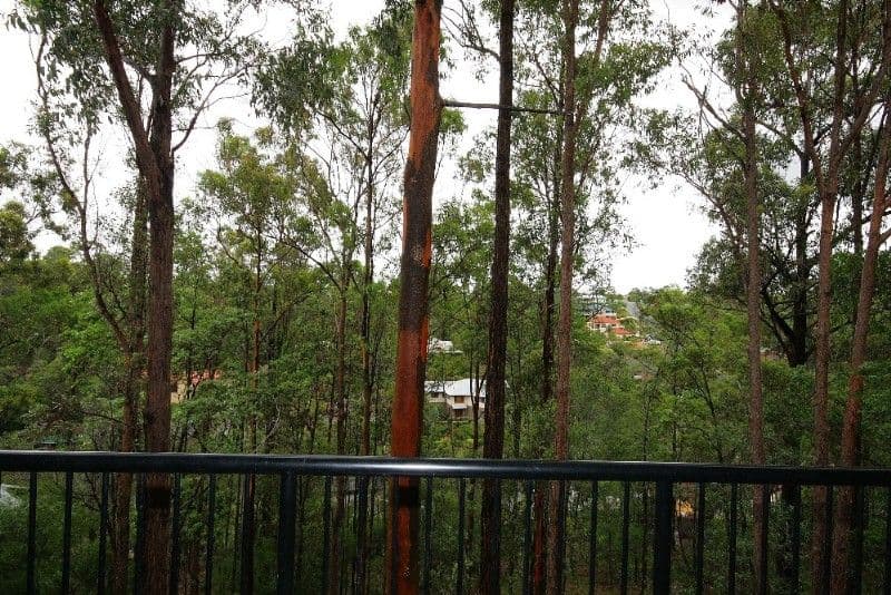 11c Dane Court, SHAILER PARK QLD 4128, Shailer Park - Thumbnail 7