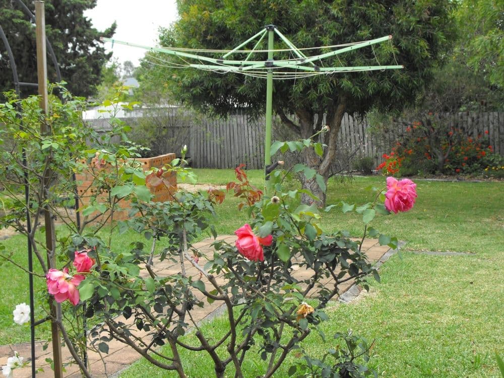 57 Essex Street, BERKELEY NSW 2506, Berkeley - Thumbnail 5