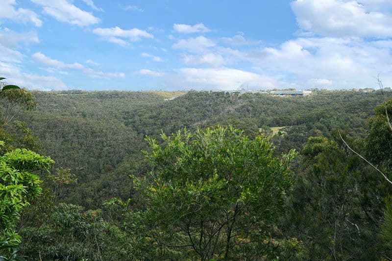 25 Gwandalan Crescent, BEROWRA NSW 2081, Berowra - Image 1