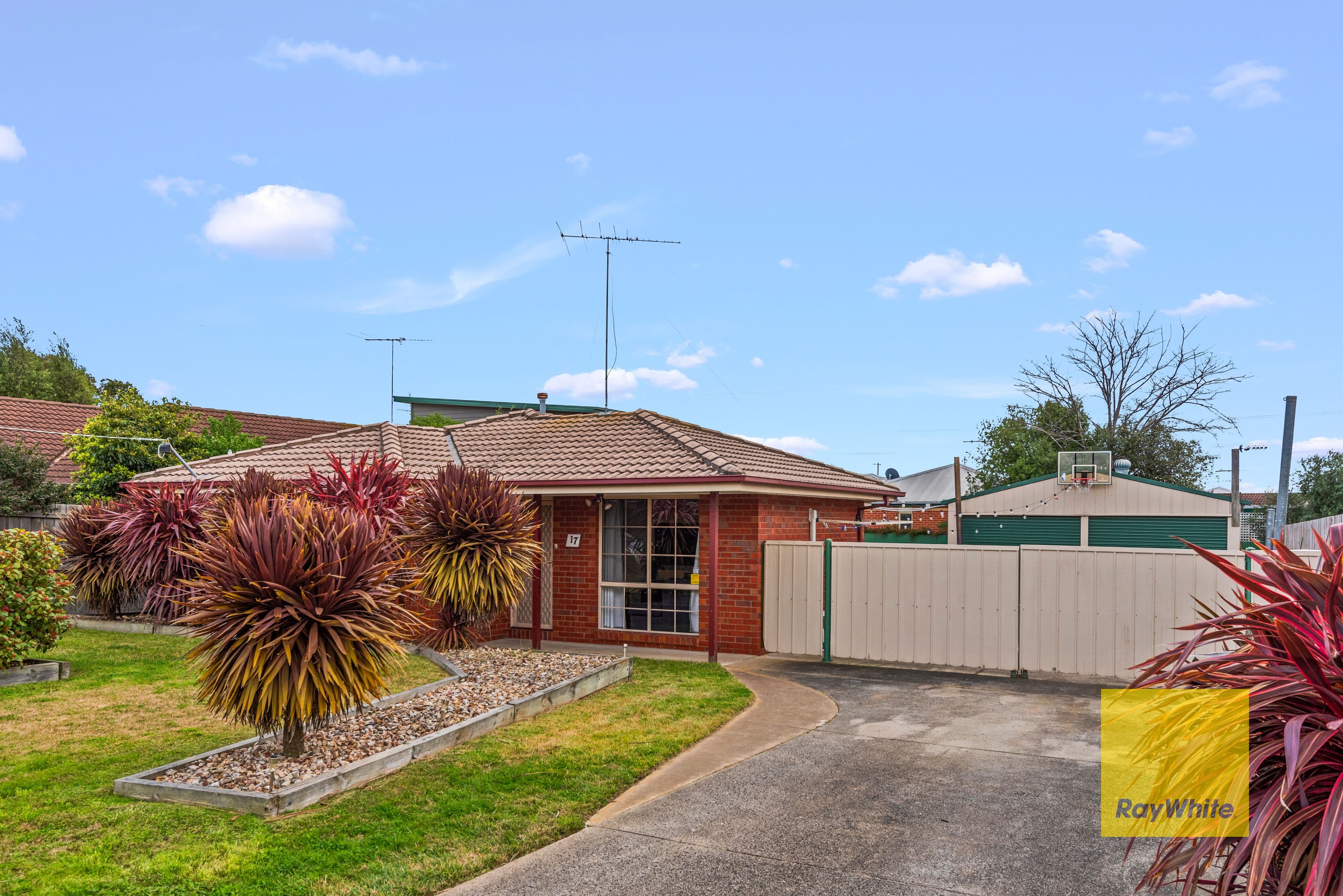 17 Jenolan Avenue, Grovedale VIC 3216, Grovedale - Image 1