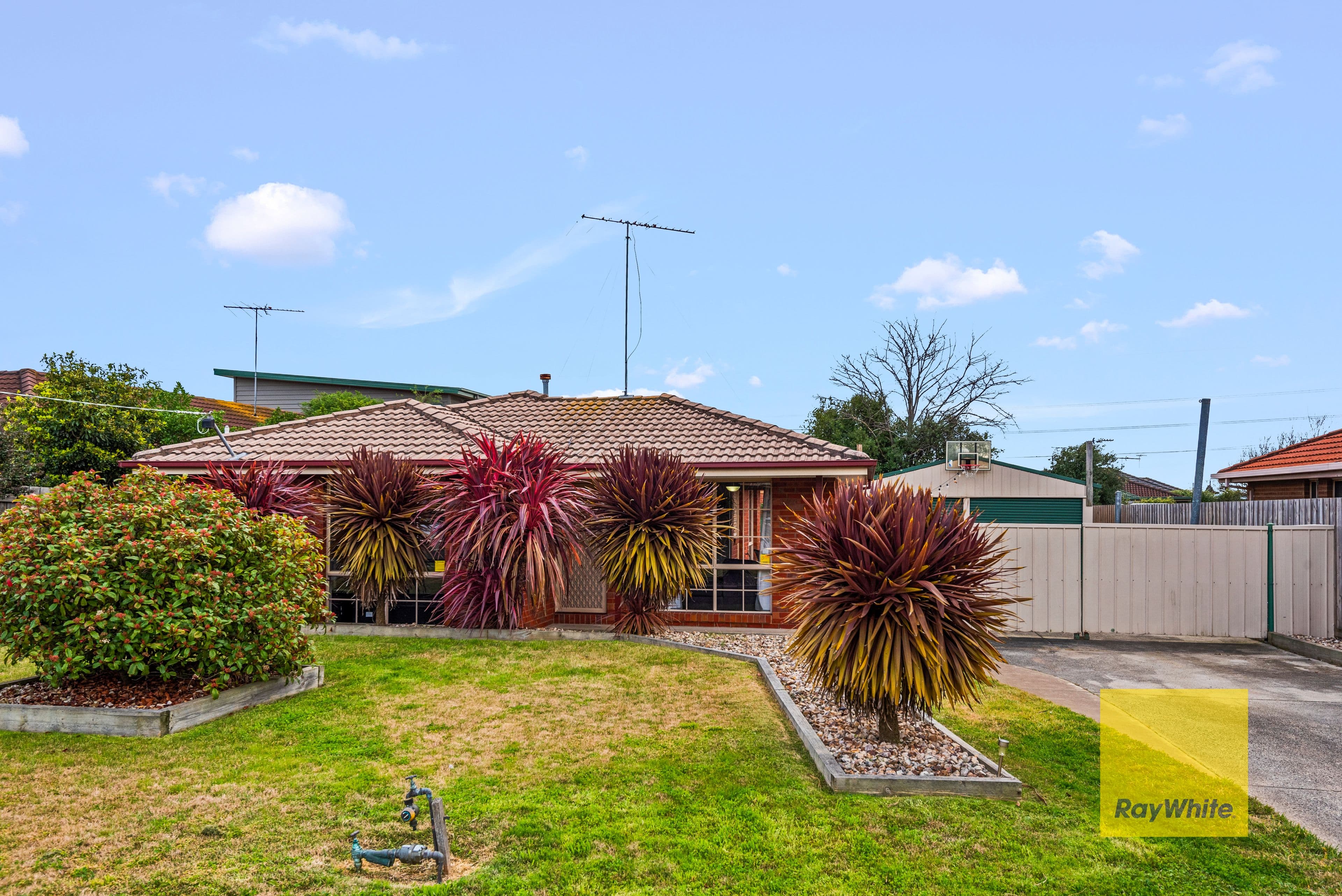 17 Jenolan Avenue, Grovedale VIC 3216, Grovedale - Thumbnail 2
