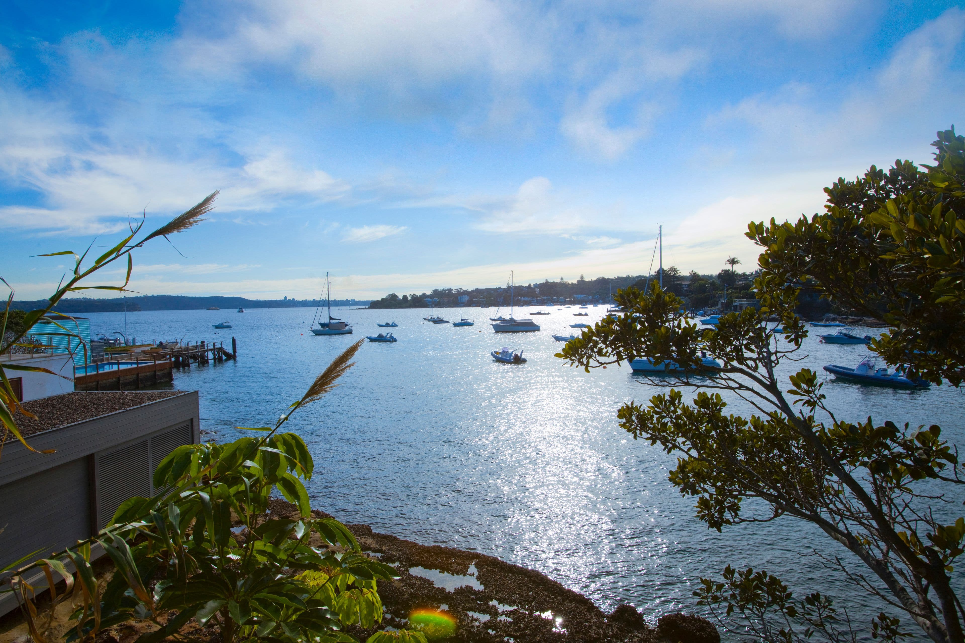 63 Fitzwilliam Road, Vaucluse NSW 2030, Vaucluse - Thumbnail 3