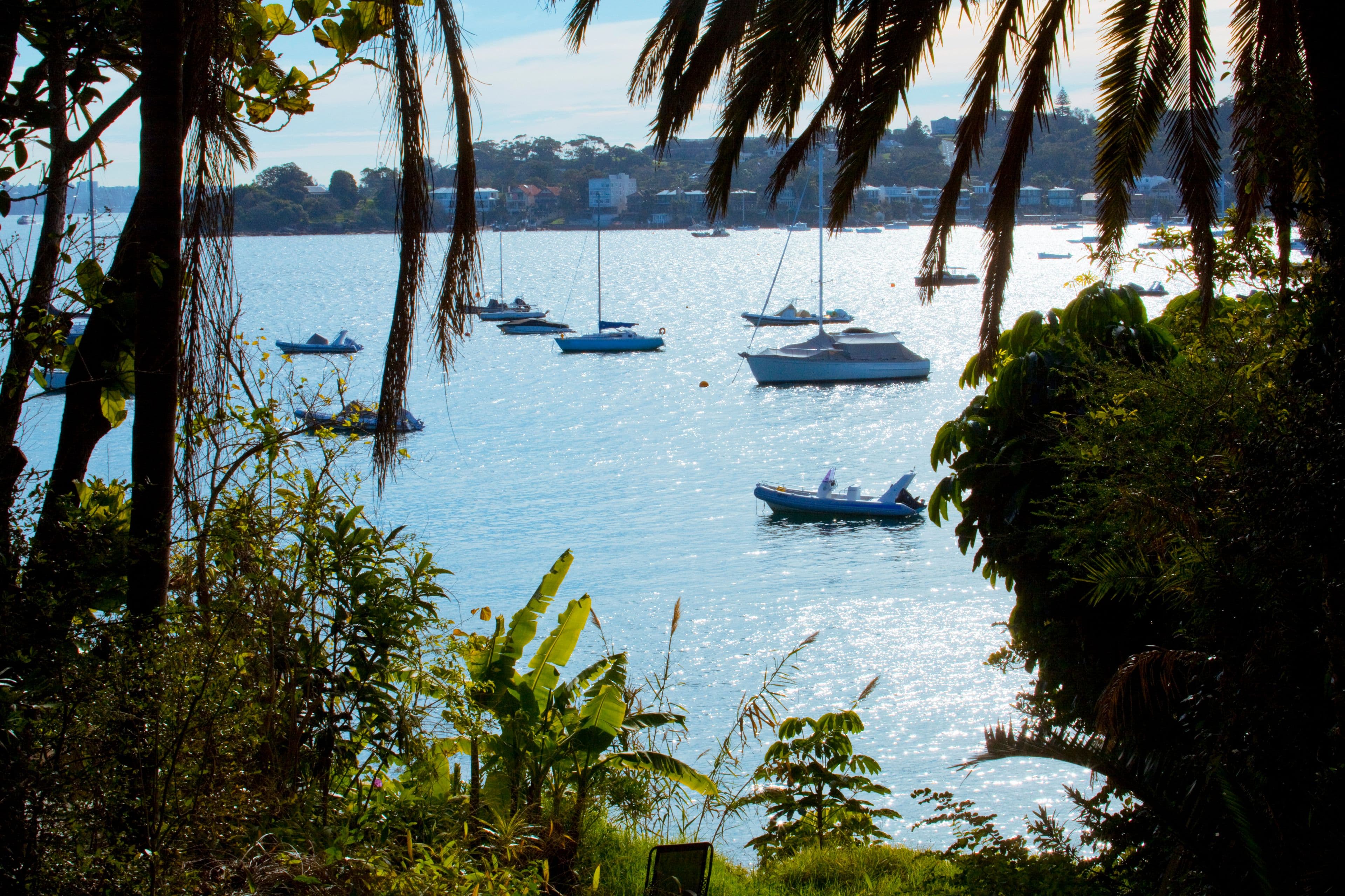 63 Fitzwilliam Road, Vaucluse NSW 2030, Vaucluse - Thumbnail 8