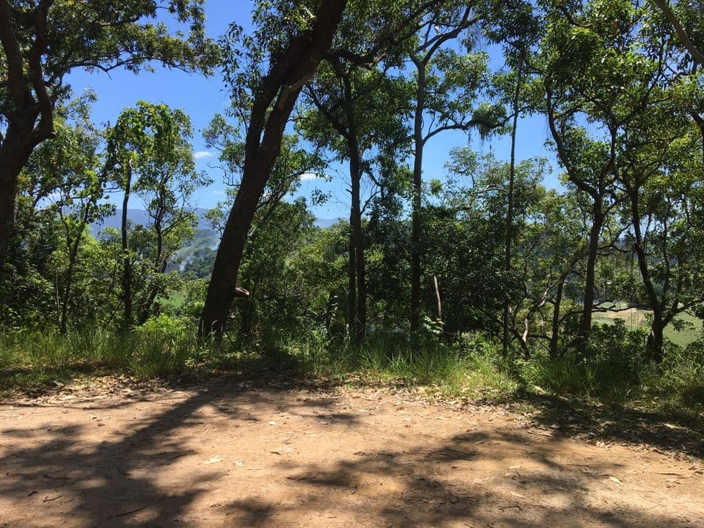 Lot 1 Stewart Creek Road, Daintree QLD 4873, Daintree - Thumbnail 2