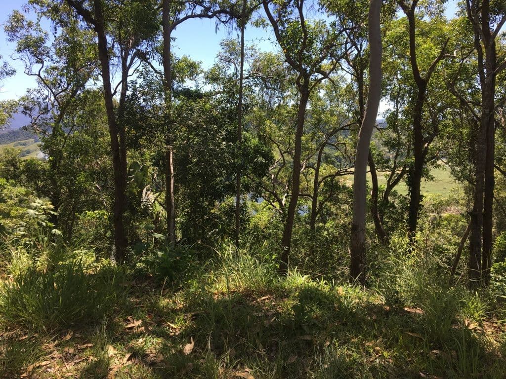 Lot 1 Stewart Creek Road, Daintree QLD 4873, Daintree - Thumbnail 3