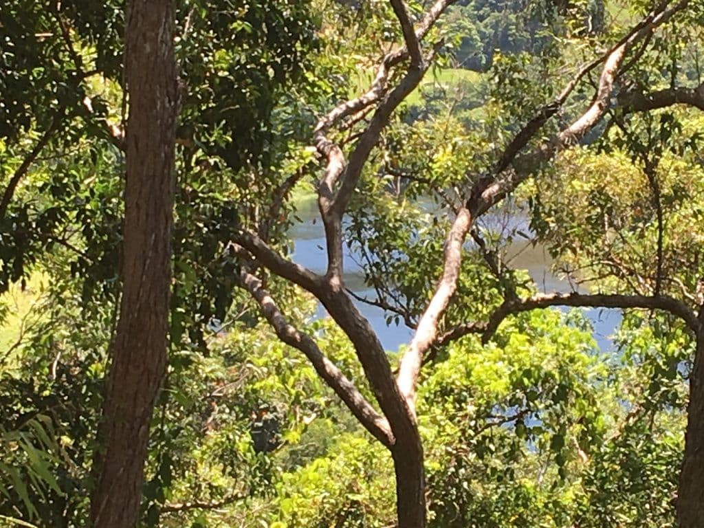 Lot 1 Stewart Creek Road, Daintree QLD 4873, Daintree - Thumbnail 4