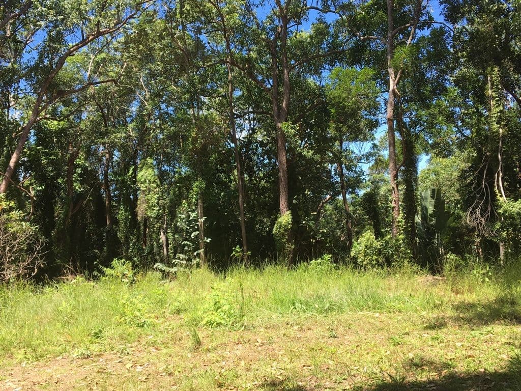 Lot 1 Stewart Creek Road, Daintree QLD 4873, Daintree - Thumbnail 7