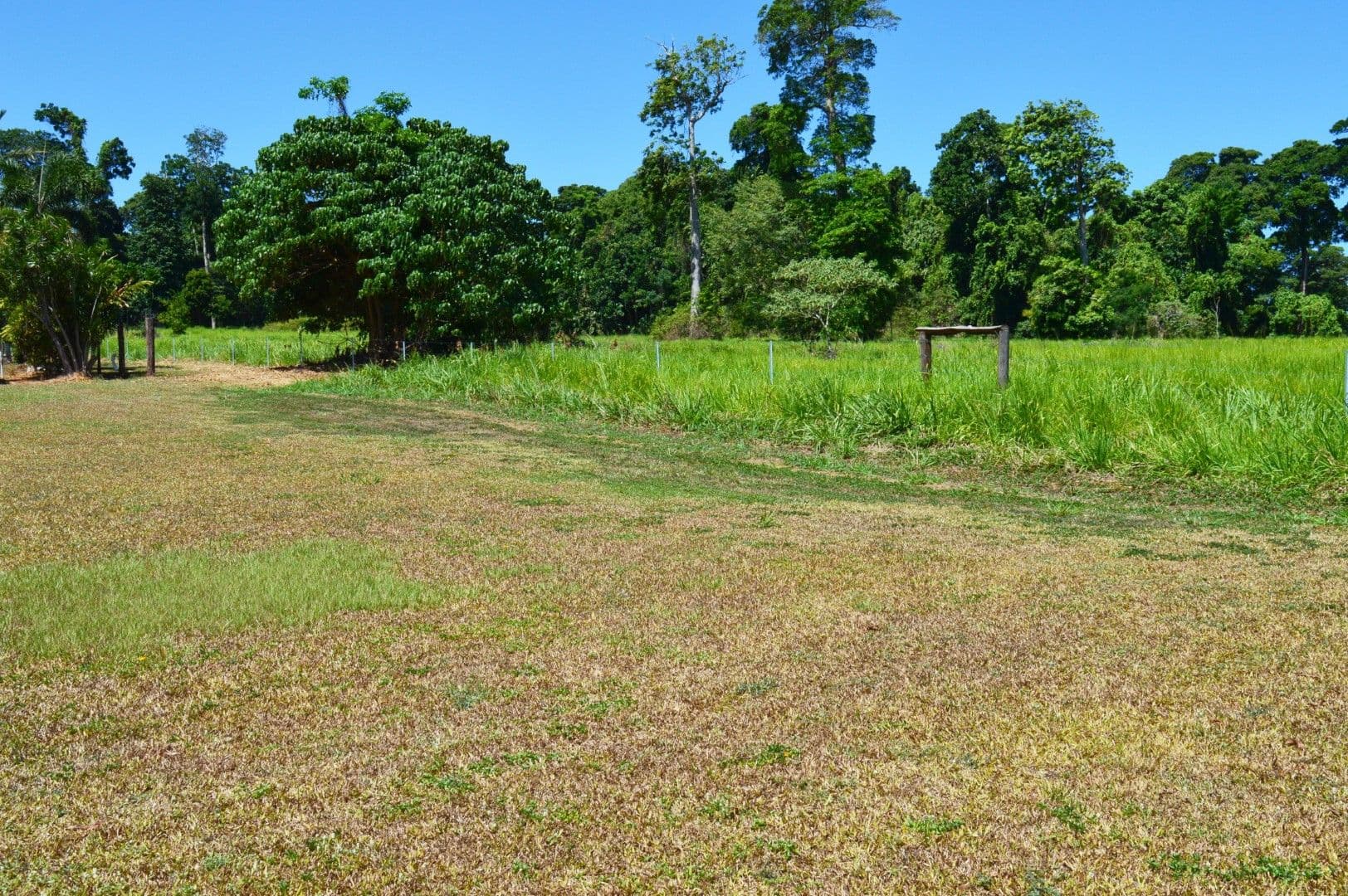 7 Derby Terrace, Mission Beach QLD 4852, Mission Beach - Thumbnail 6