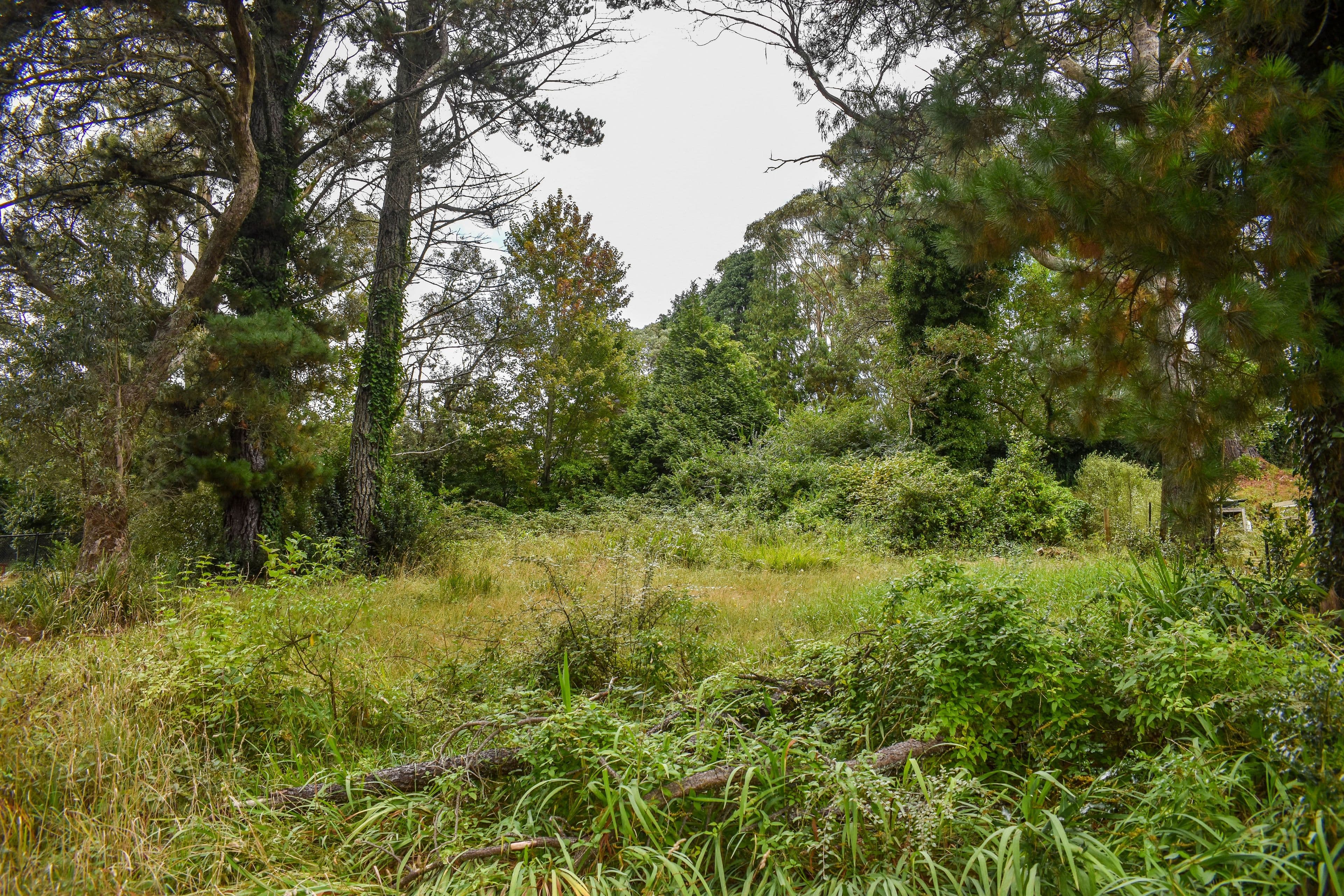 24 Gardiner Crescent, Blackheath NSW 2785, Blackheath - Thumbnail 2