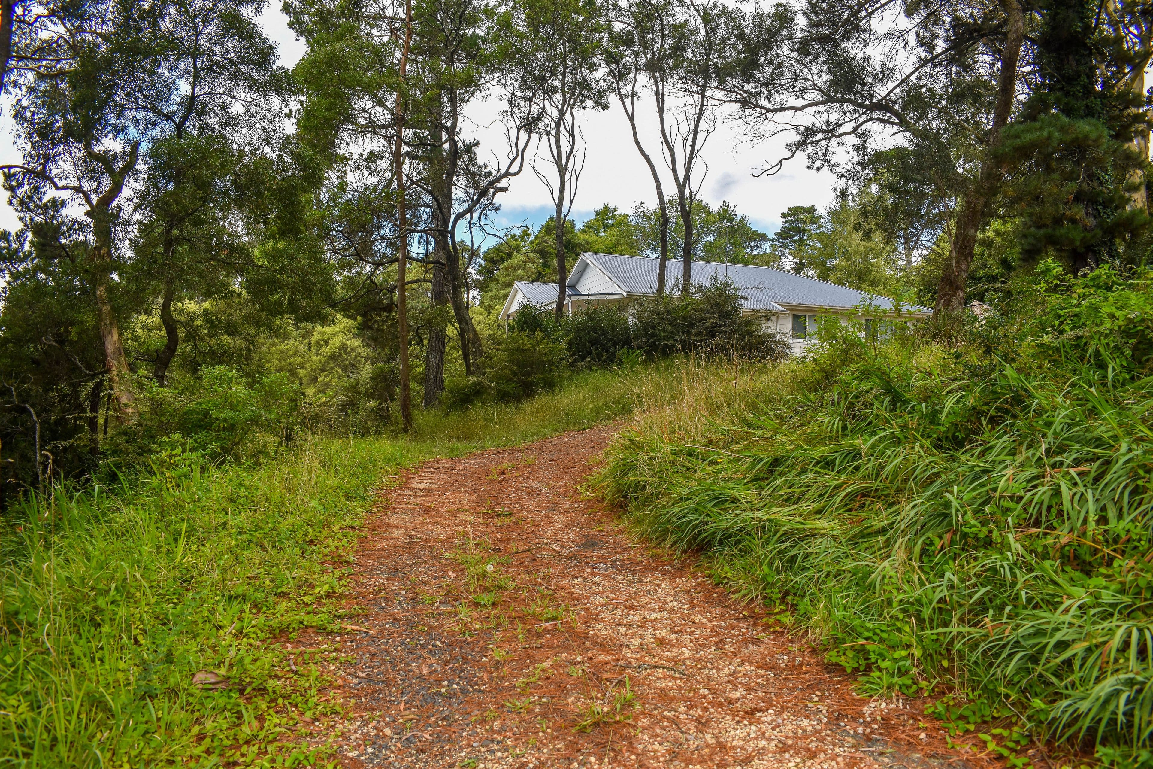 24 Gardiner Crescent, Blackheath NSW 2785, Blackheath - Thumbnail 4