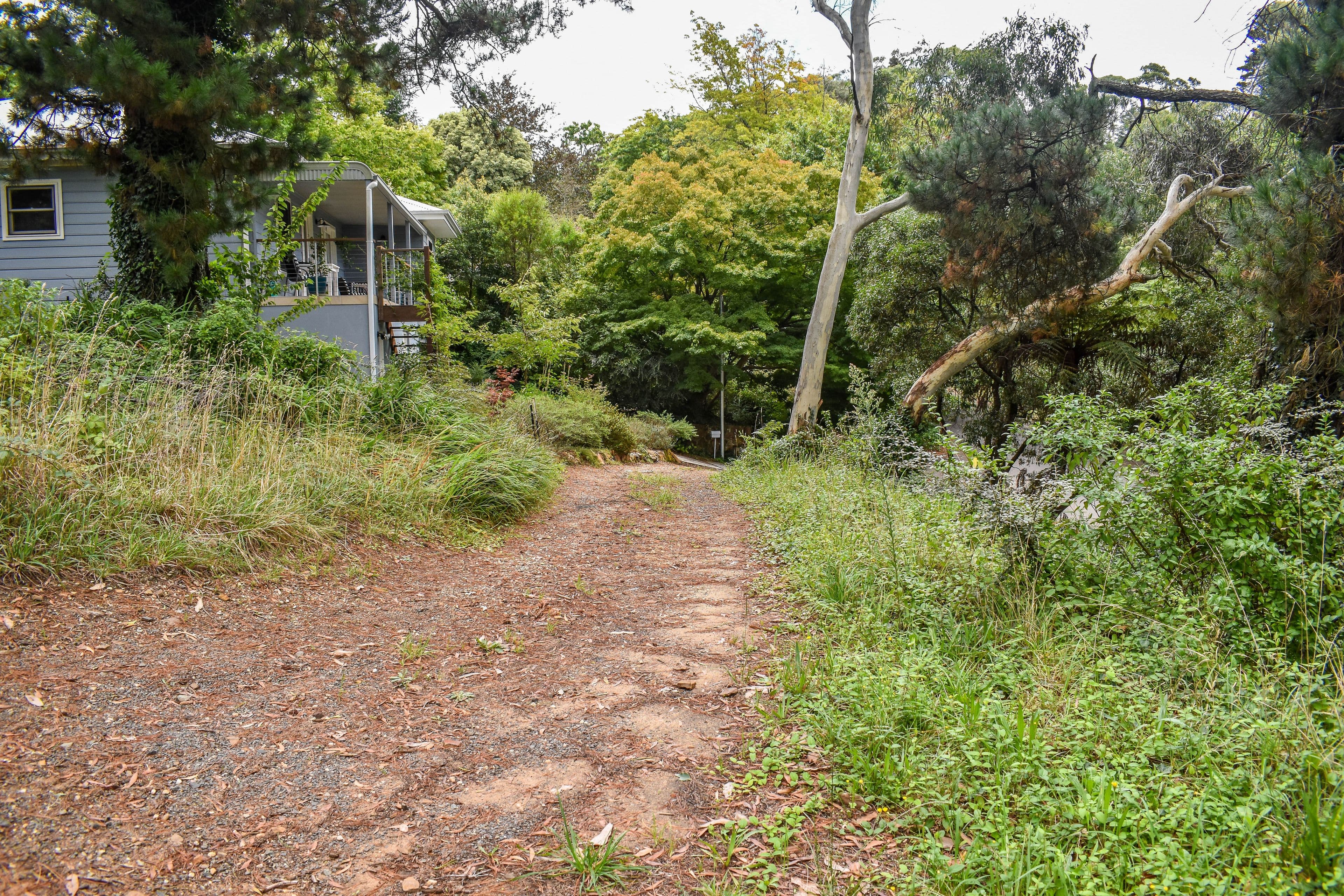 24 Gardiner Crescent, Blackheath NSW 2785, Blackheath - Thumbnail 5