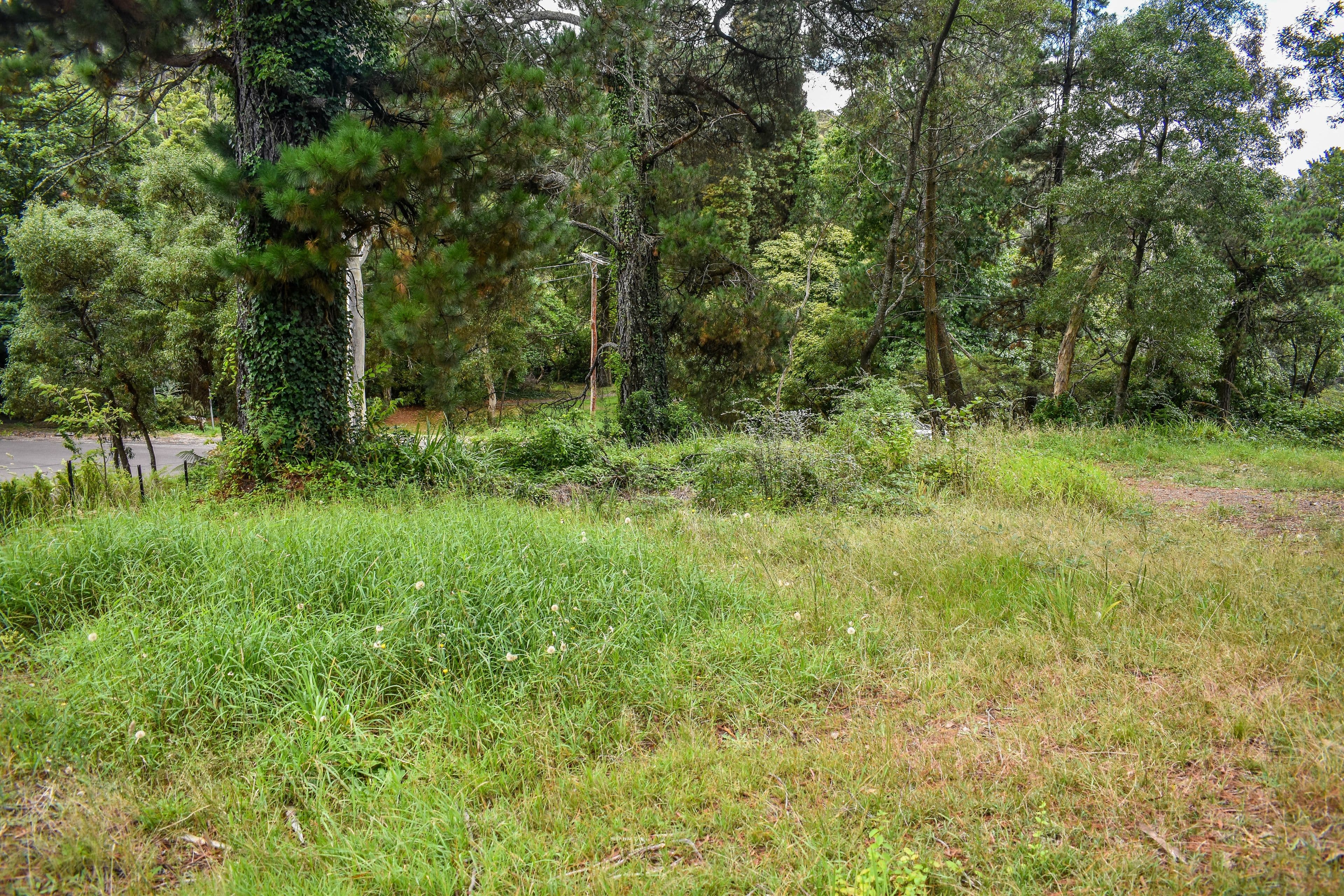 24 Gardiner Crescent, Blackheath NSW 2785, Blackheath - Thumbnail 6