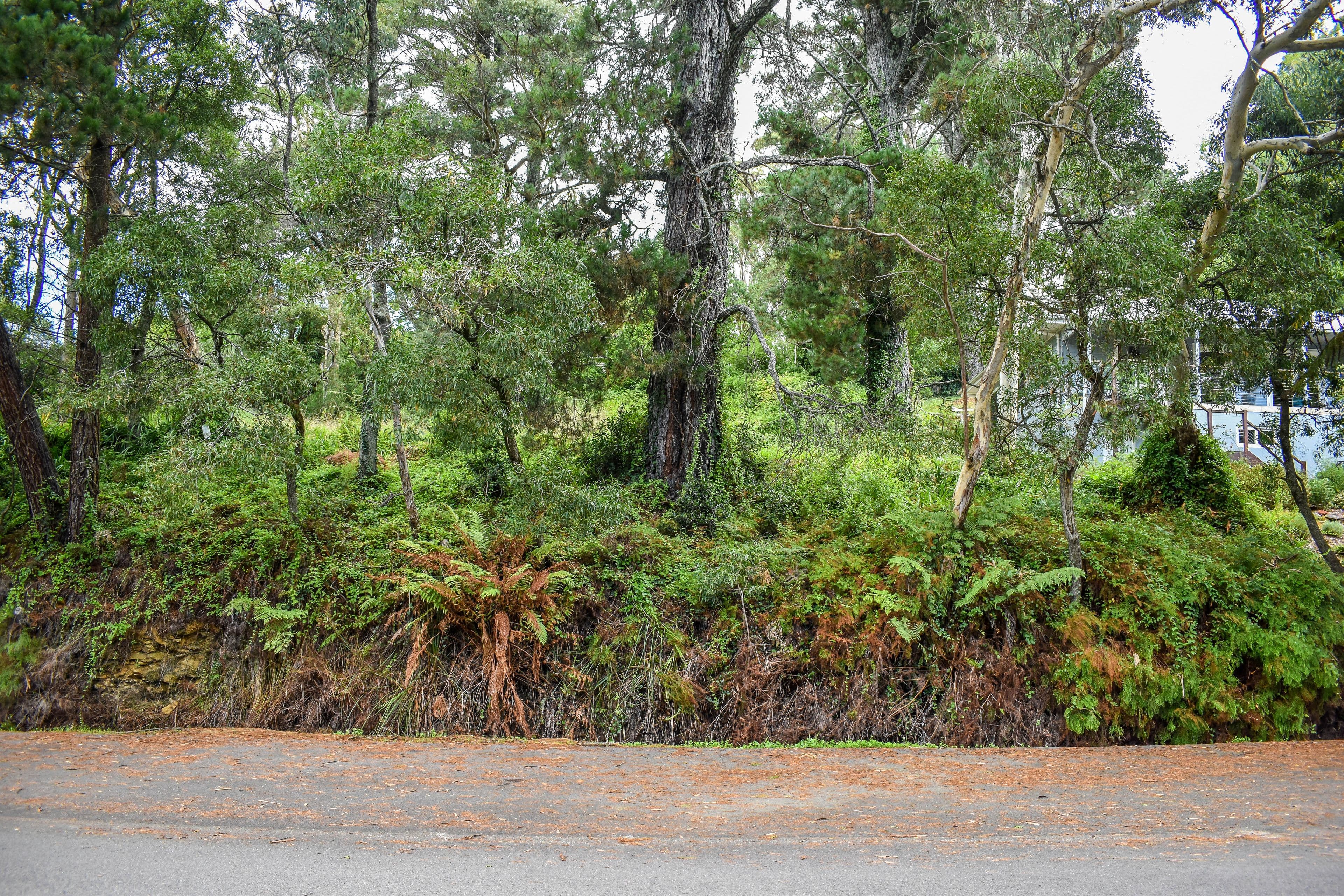 24 Gardiner Crescent, Blackheath NSW 2785, Blackheath - Thumbnail 7