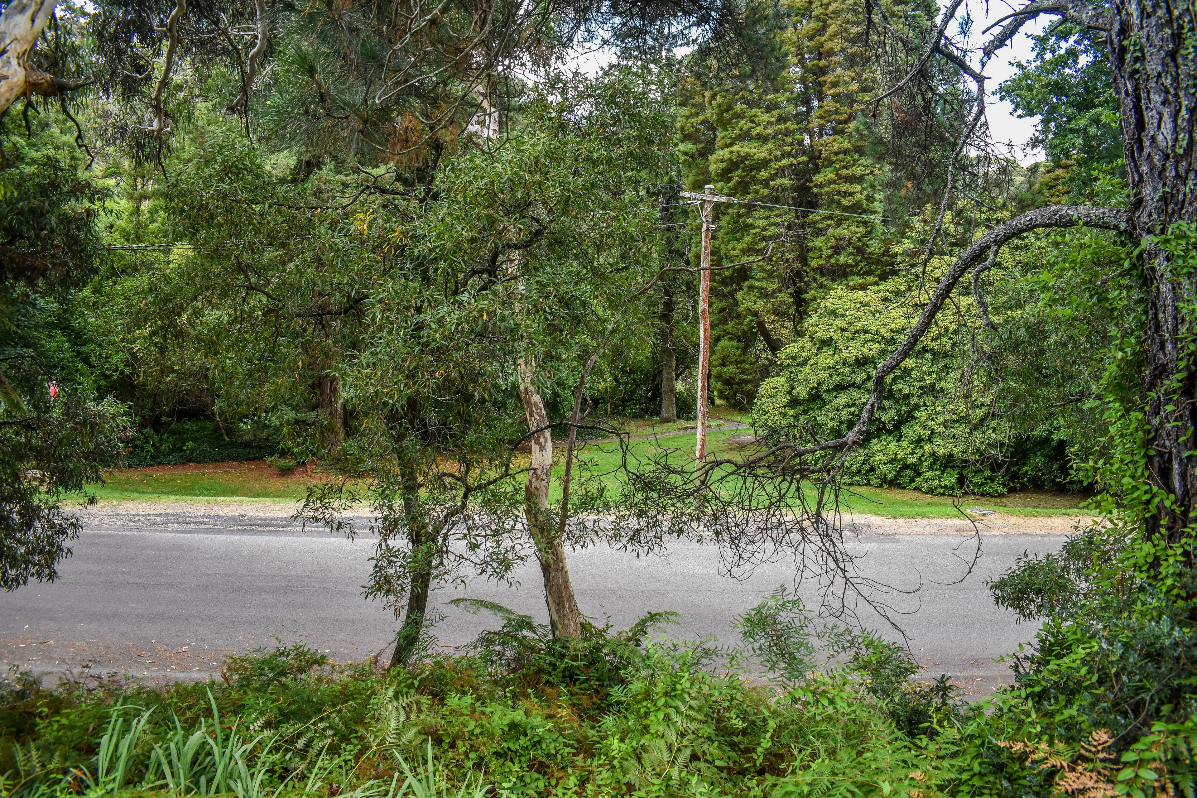 24 Gardiner Crescent, Blackheath NSW 2785, Blackheath - Thumbnail 8
