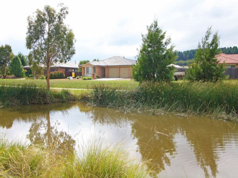 5 Wild Terrace, Bungendore NSW 2621, Bungendore - Thumbnail 4