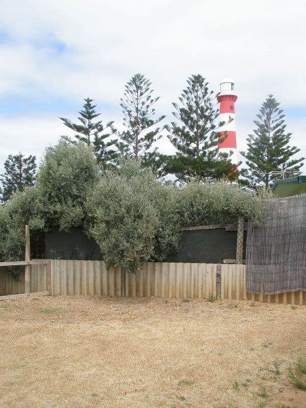 91 Gunners Lane, WEST END WA 6530, West End - Image 1