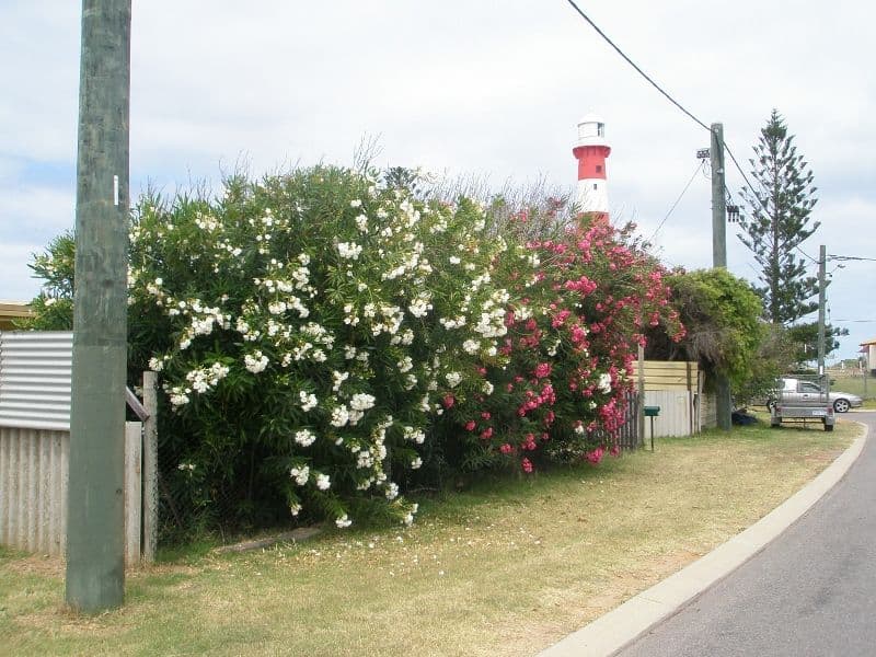 91 Gunners Lane, WEST END WA 6530, West End - Thumbnail 7