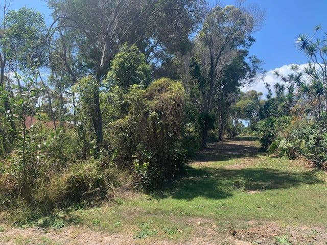 165 Mathiesen Road, Booral QLD 4655, Booral - Thumbnail 4