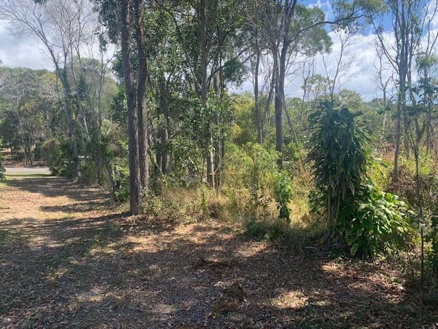 165 Mathiesen Road, Booral QLD 4655, Booral - Thumbnail 5