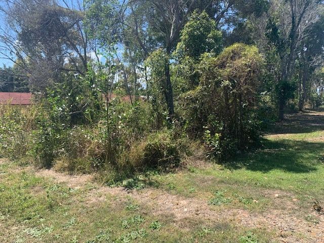 165 Mathiesen Road, Booral QLD 4655, Booral - Thumbnail 8