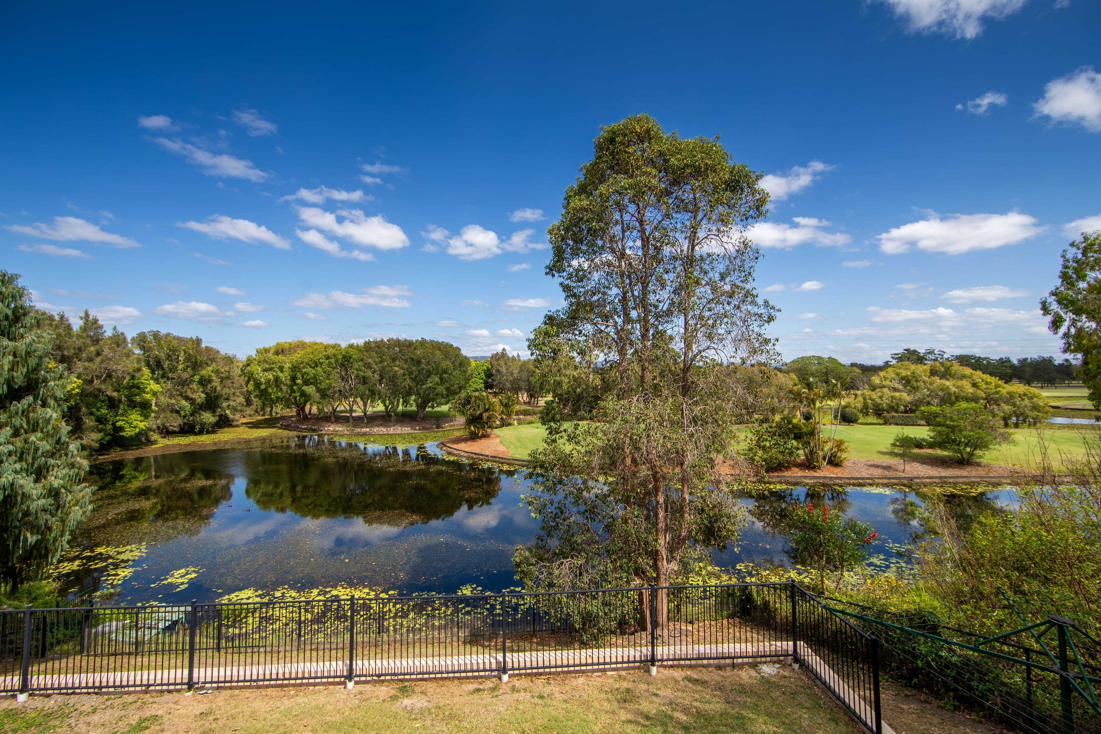 11 Kingston Heath Place, Robina QLD 4226, Robina - Thumbnail 6