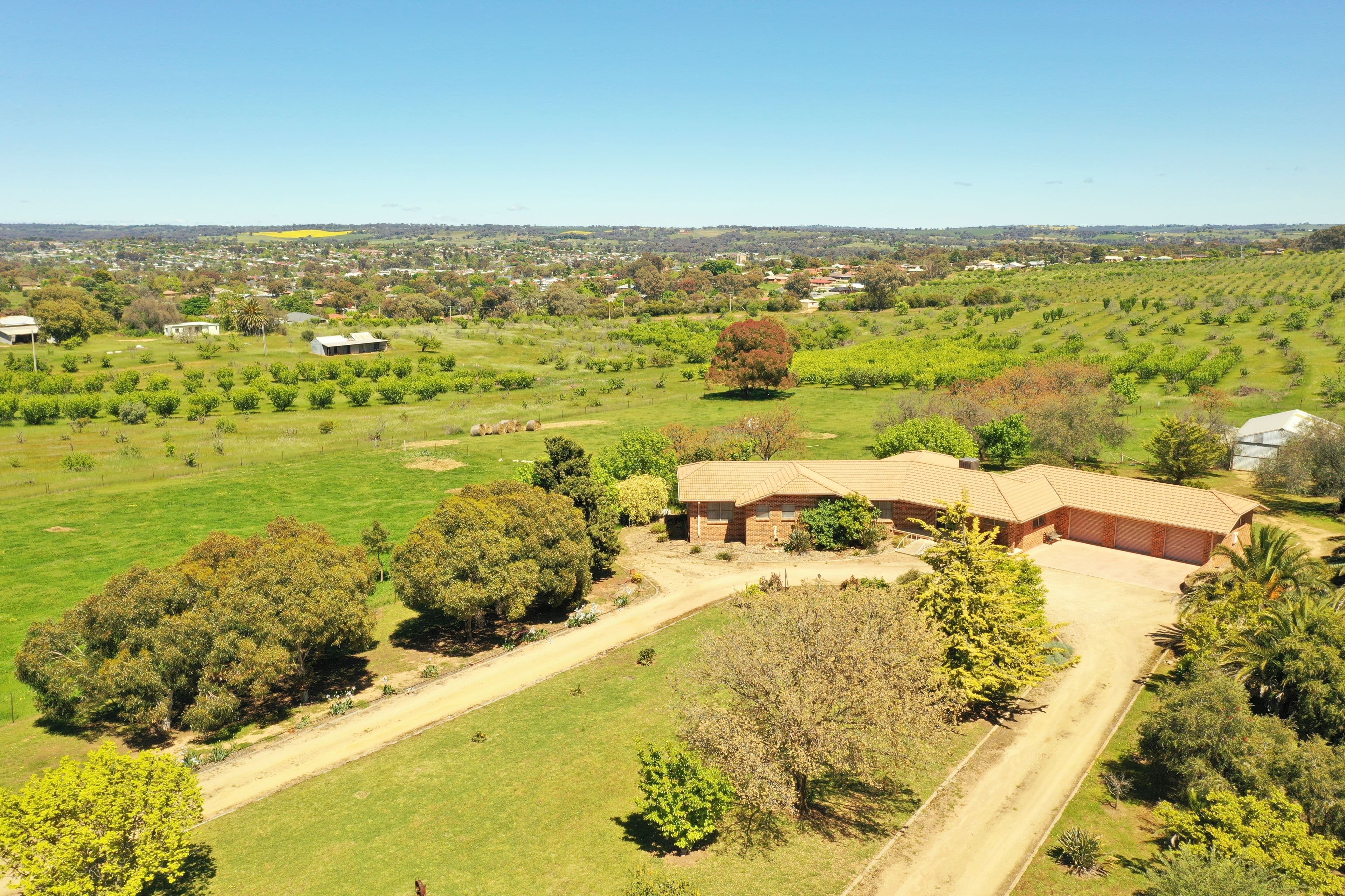 109 Hills Street, Young NSW 2594, Young - Image 1