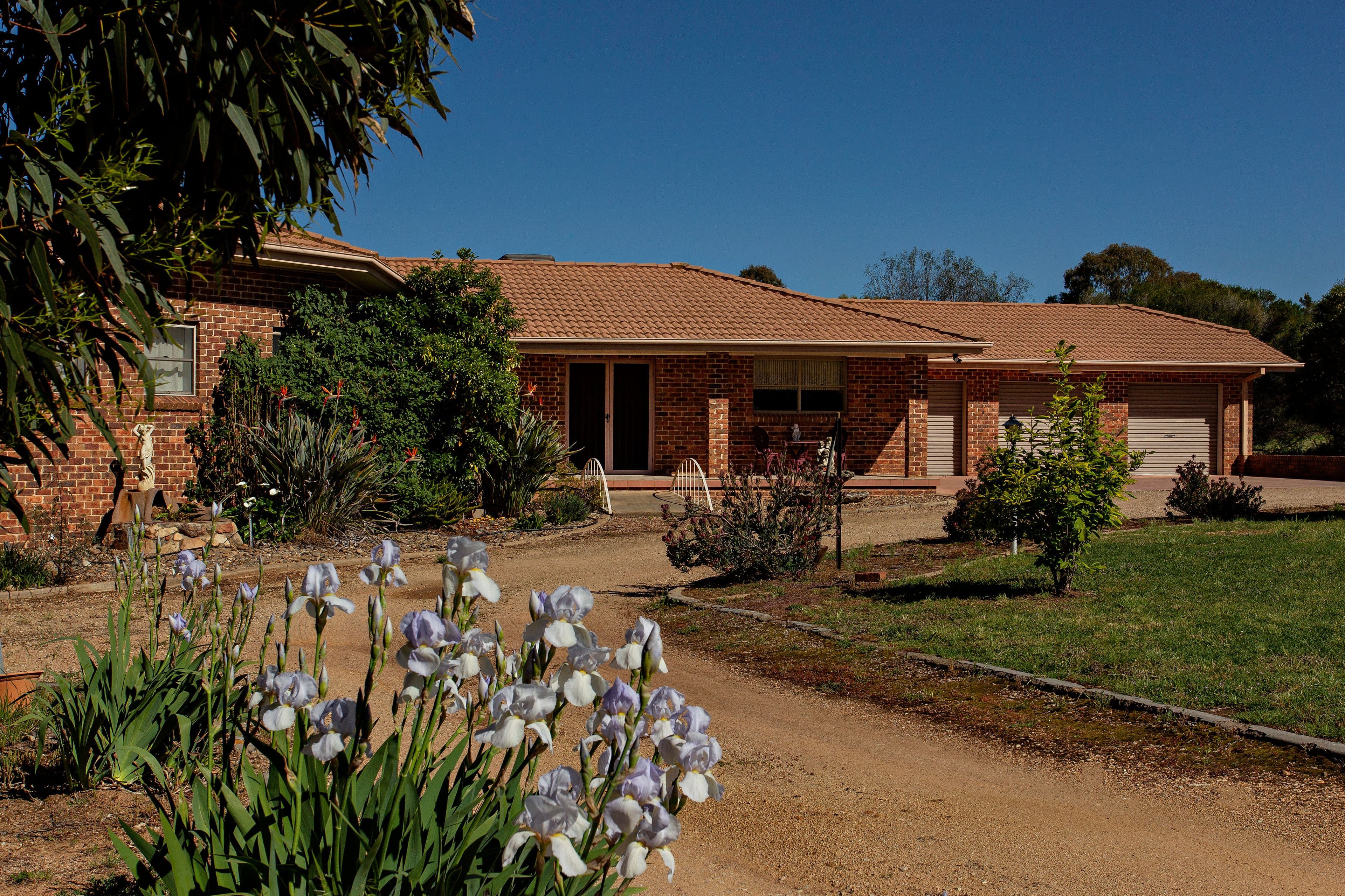 109 Hills Street, Young NSW 2594, Young - Thumbnail 4