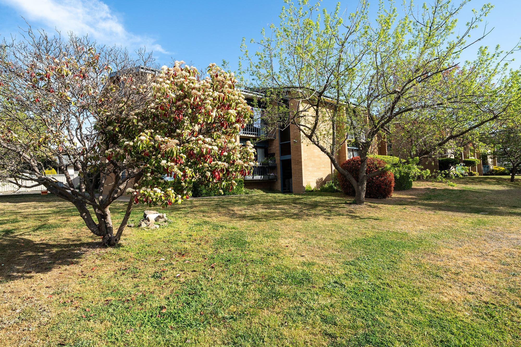 21 McGinness Street, Scullin ACT 2614, Scullin - Thumbnail 8