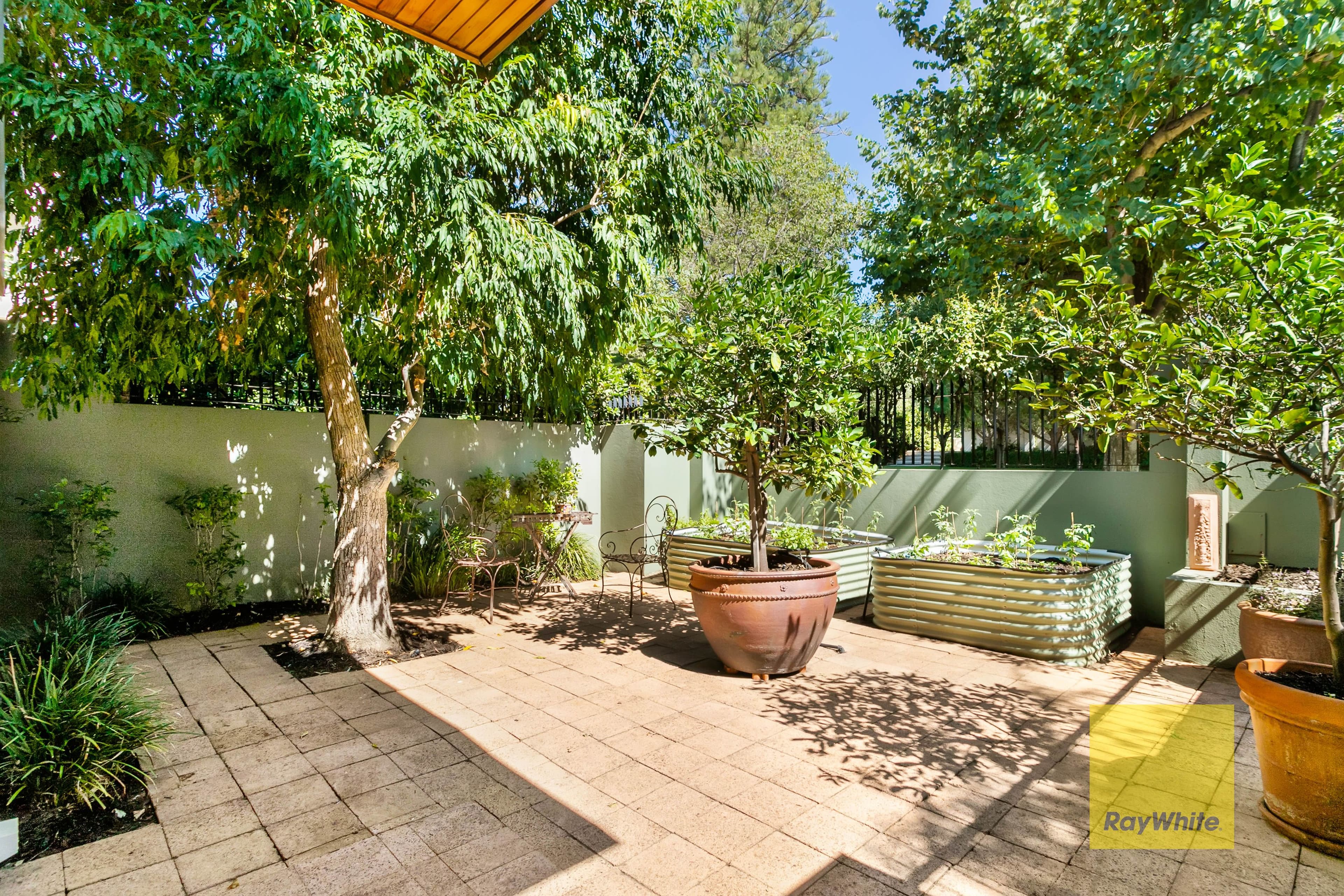 1 Charles Street, Cottesloe WA 6011, Cottesloe - Thumbnail 4