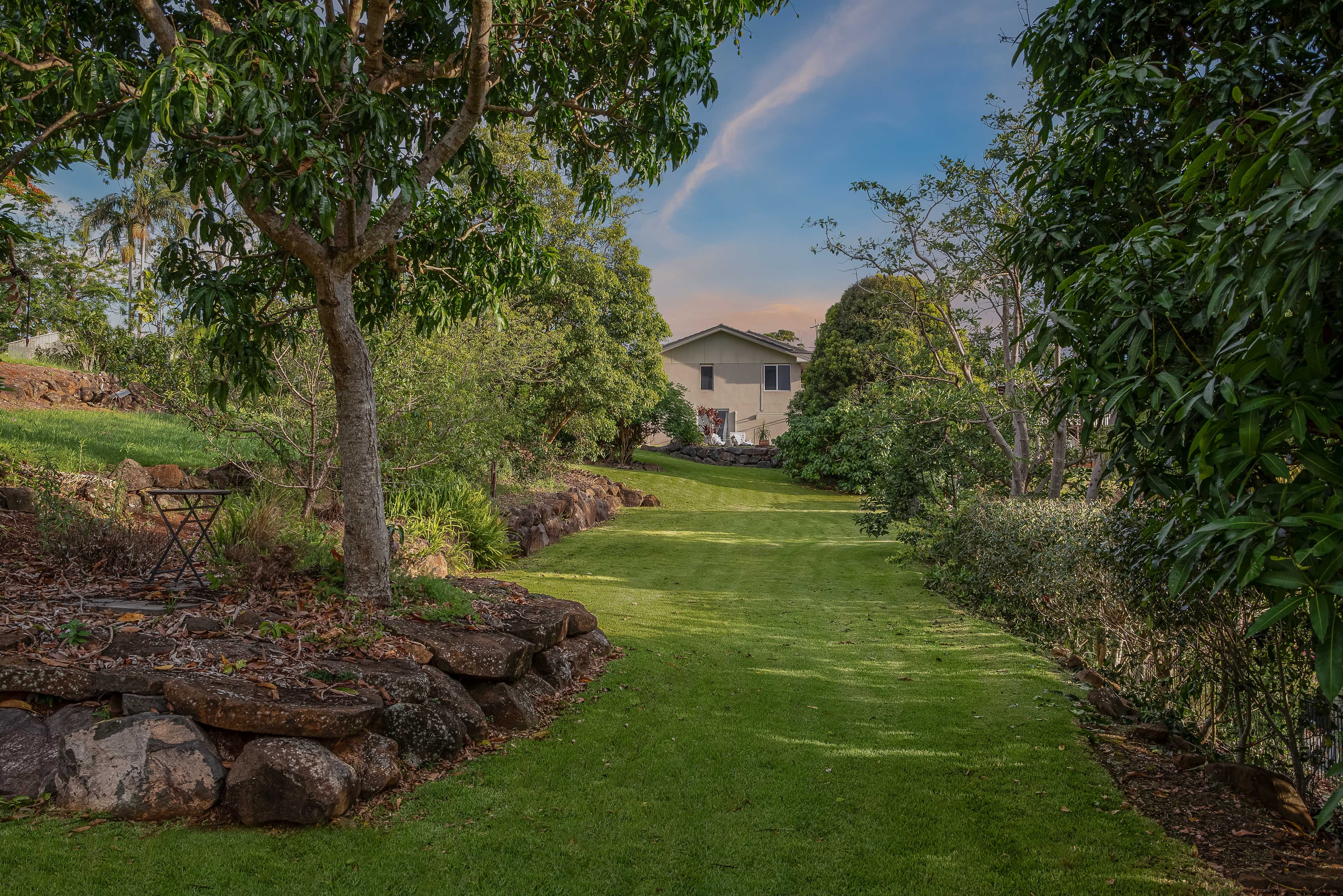 56 William Street, Buderim QLD 4556, Buderim - Thumbnail 4