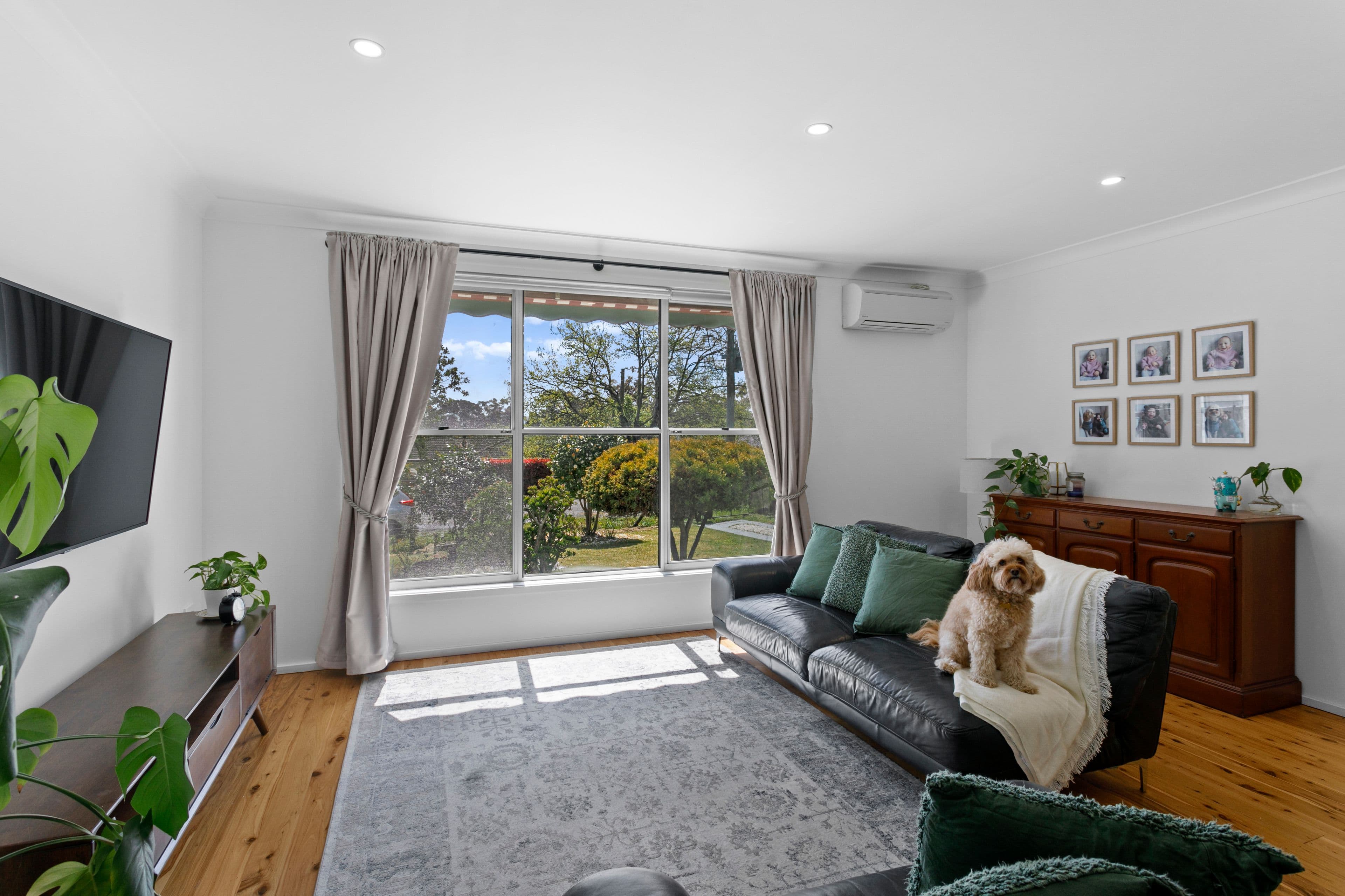 15 Boronia Avenue, Hill Top NSW 2575, Hill Top - Thumbnail 4