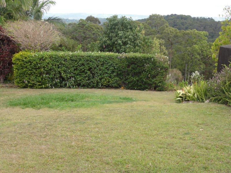 77 Atkinson Road, BLI BLI QLD 4560, Bli Bli - Thumbnail 3