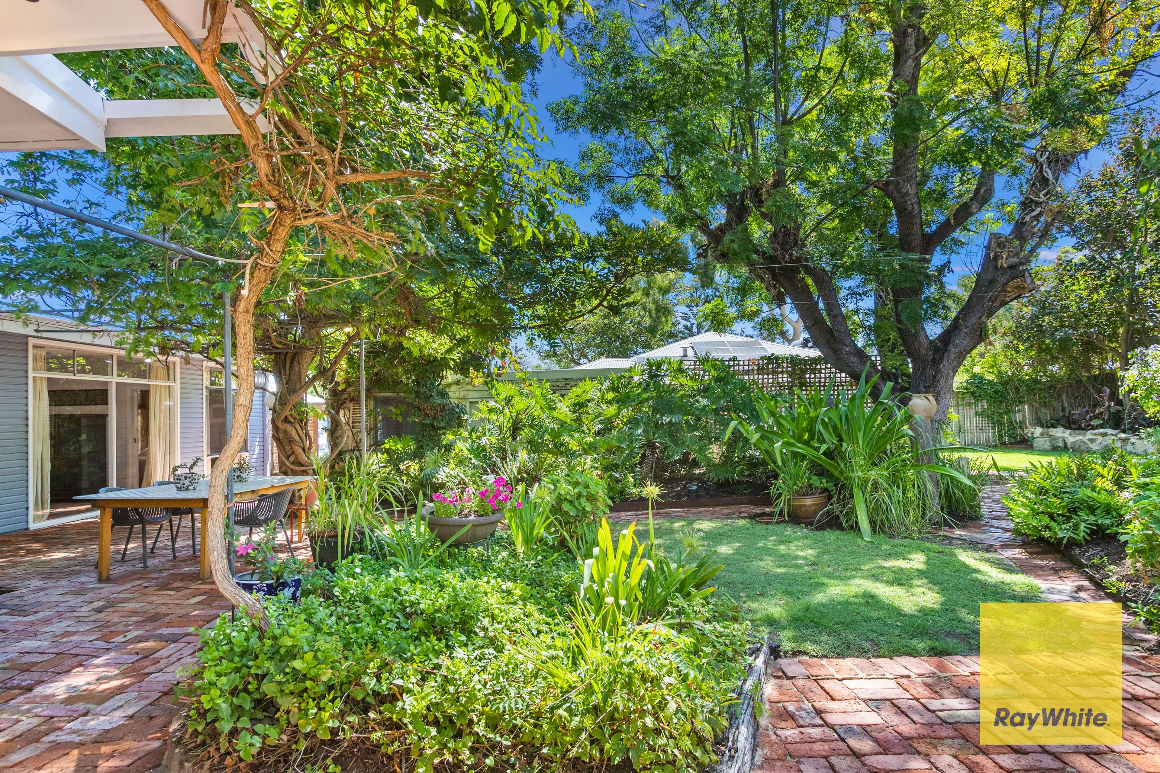 107 Shenton Road, Swanbourne WA 6010, Swanbourne - Thumbnail 2
