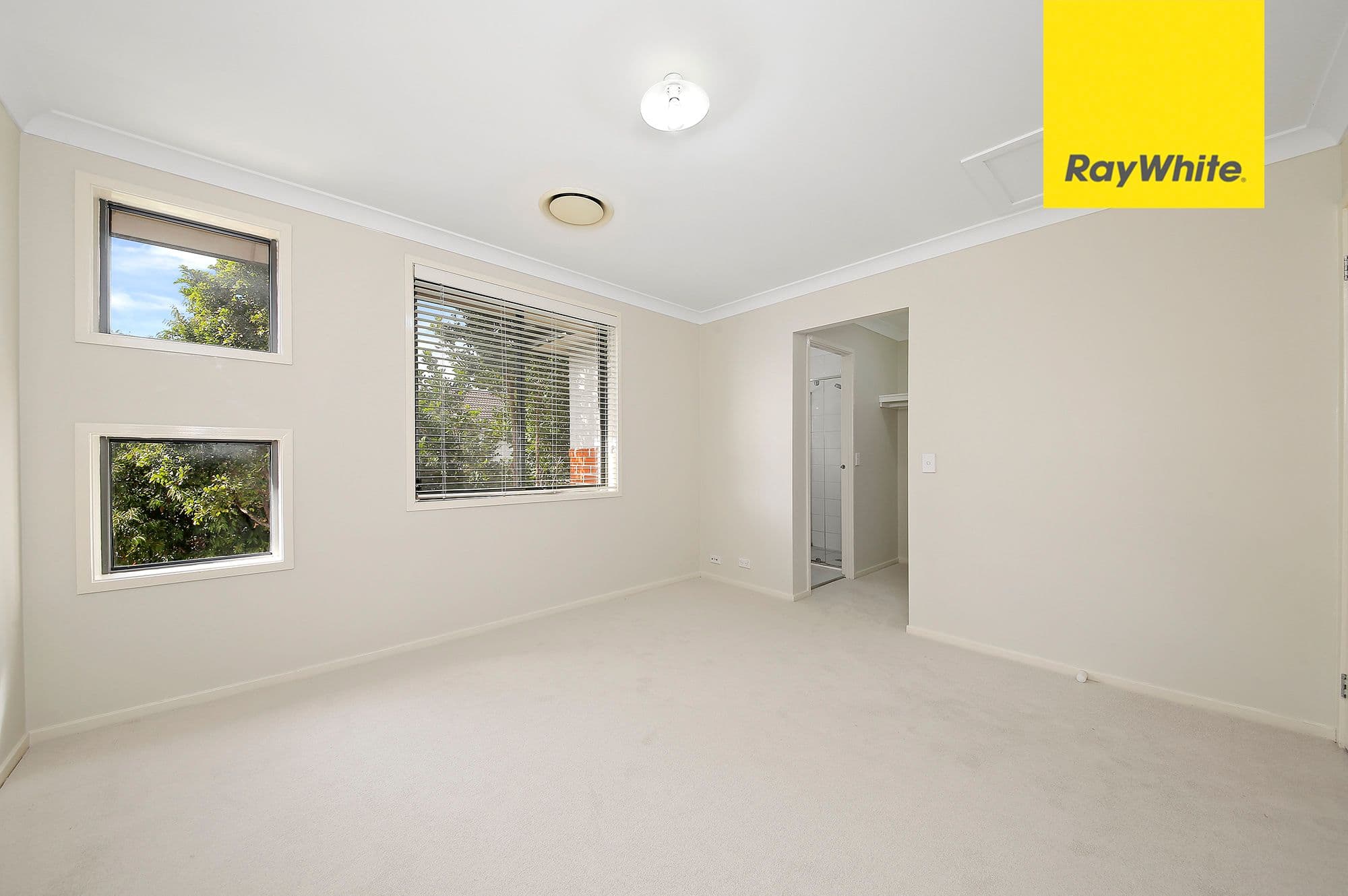 17 Coachwood Street, Auburn NSW 2144, Auburn - Thumbnail 4