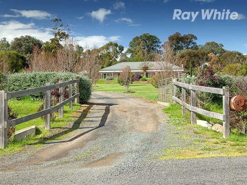 31 Sheridan Court, RUTHERGLEN VIC 3685, Rutherglen - Thumbnail 5