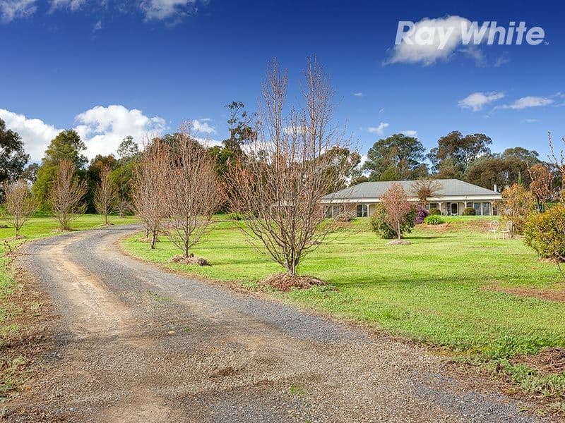 31 Sheridan Court, RUTHERGLEN VIC 3685, Rutherglen - Thumbnail 6